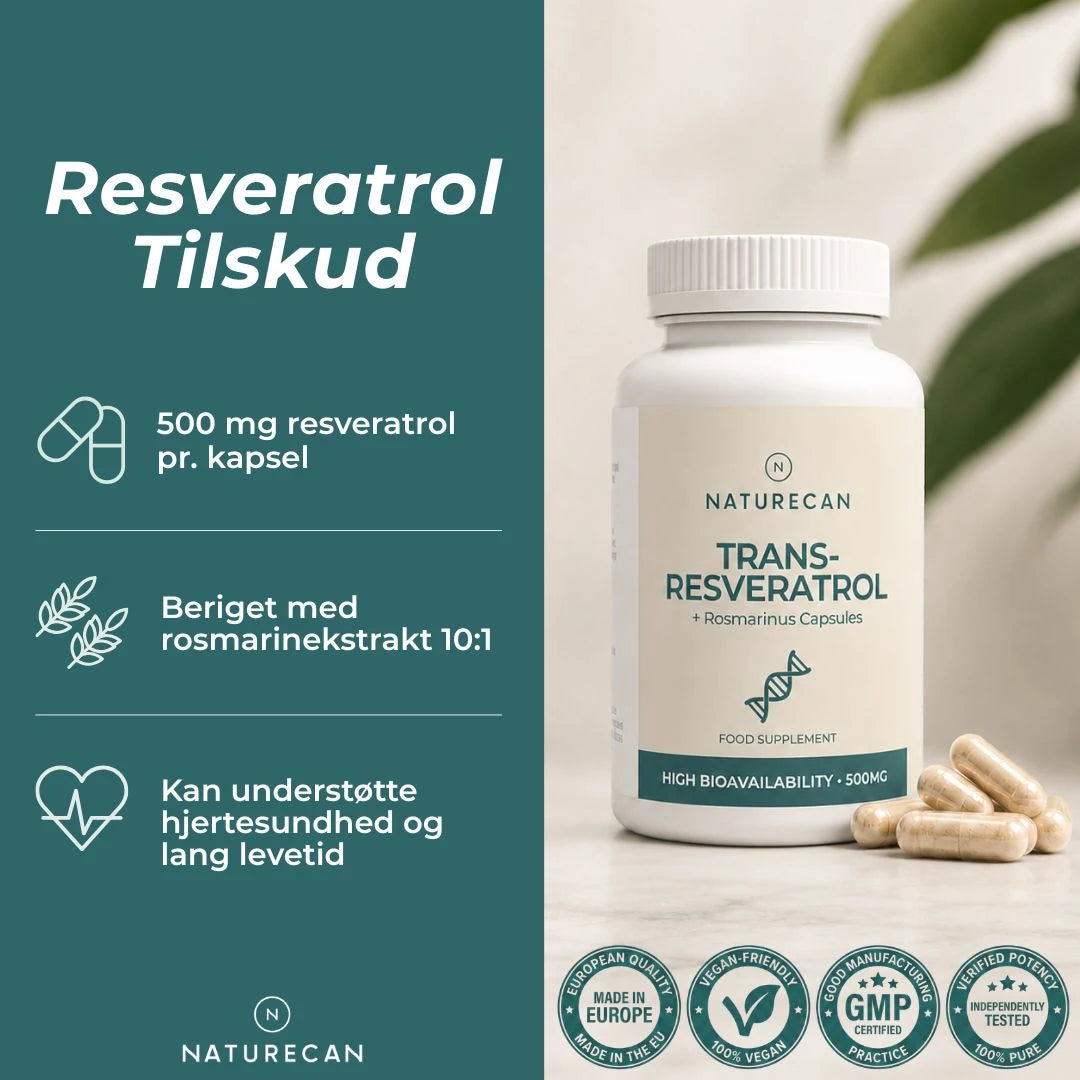 Resveratrol tilskud