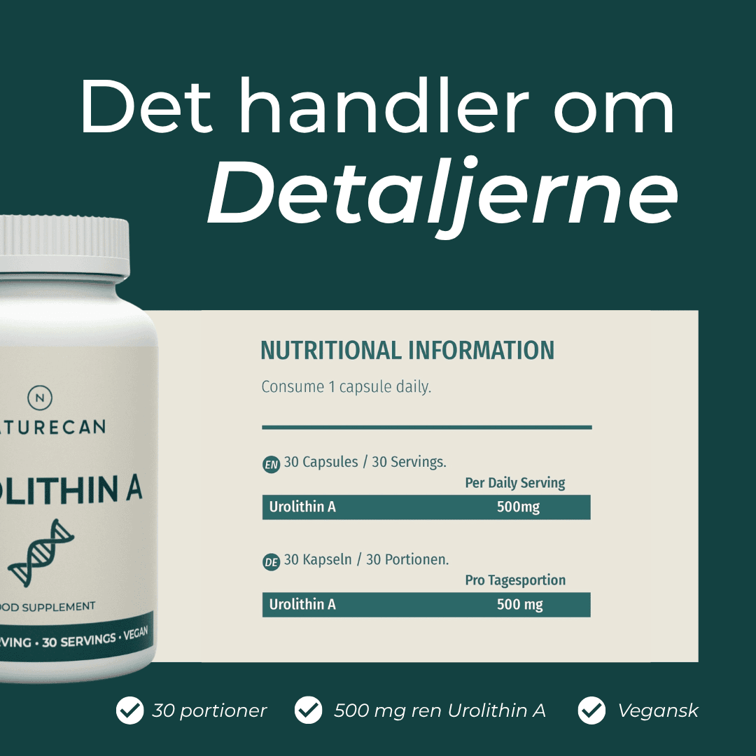 hvad er Urolithin A