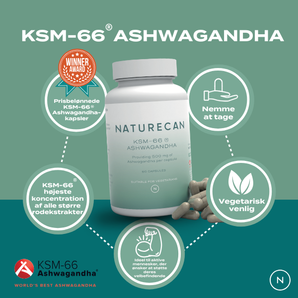 Fordele ved ashwagandha