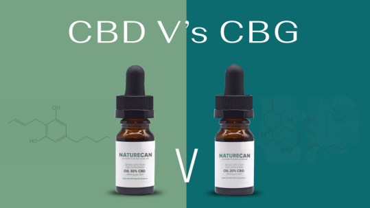 CBG vs CBD