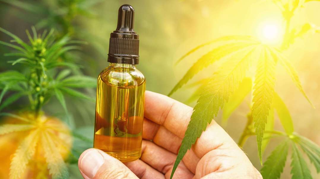 Hvorfor købe CBD fra Naturecan?