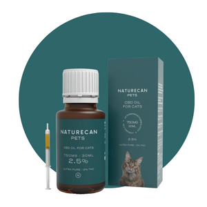 CBD til katte