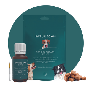 CBD til hunde
