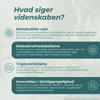 Berberin videnskab