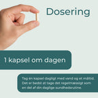 Berberine kapsler dosering