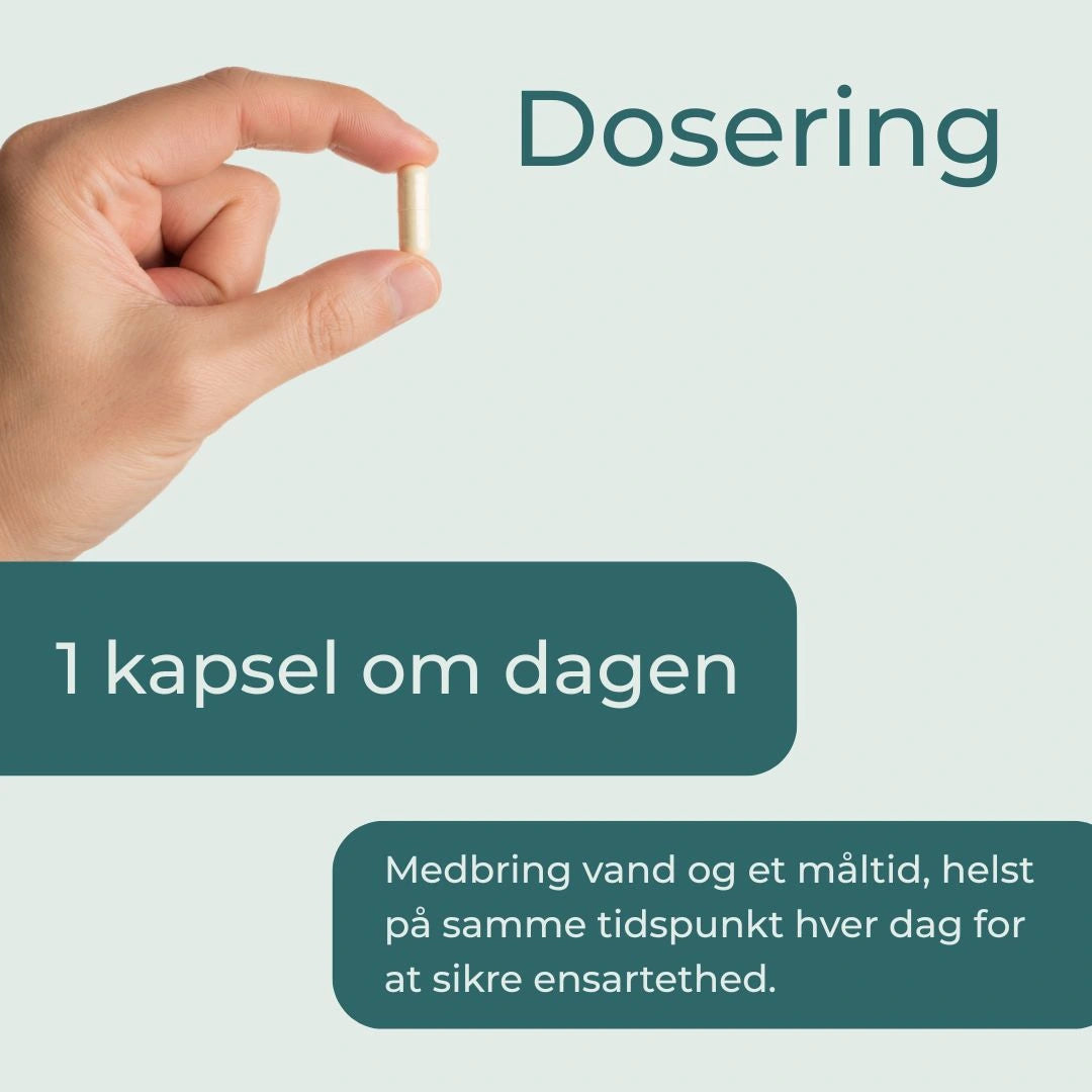 NAC kapsler dosering