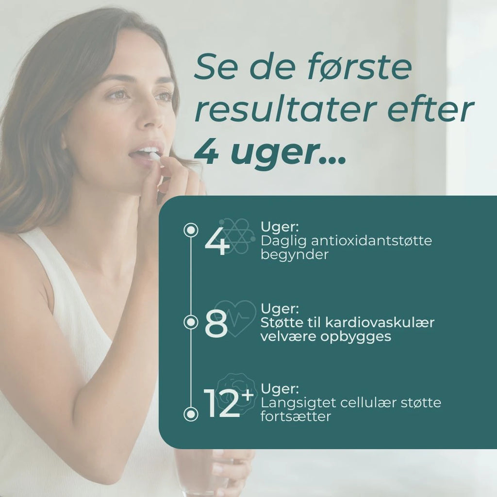 resveratrol tilskud resultater