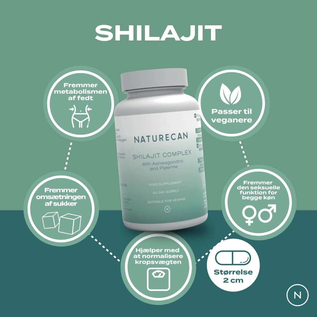 shilajit fordele