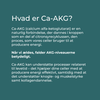 hvad er ca-akg