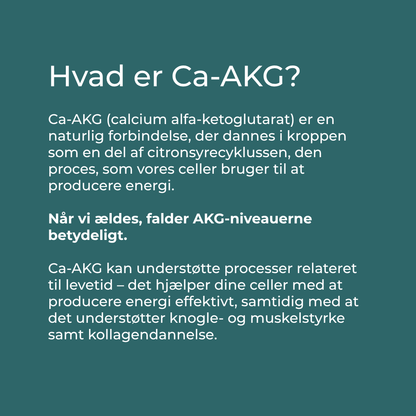 hvad er ca-akg