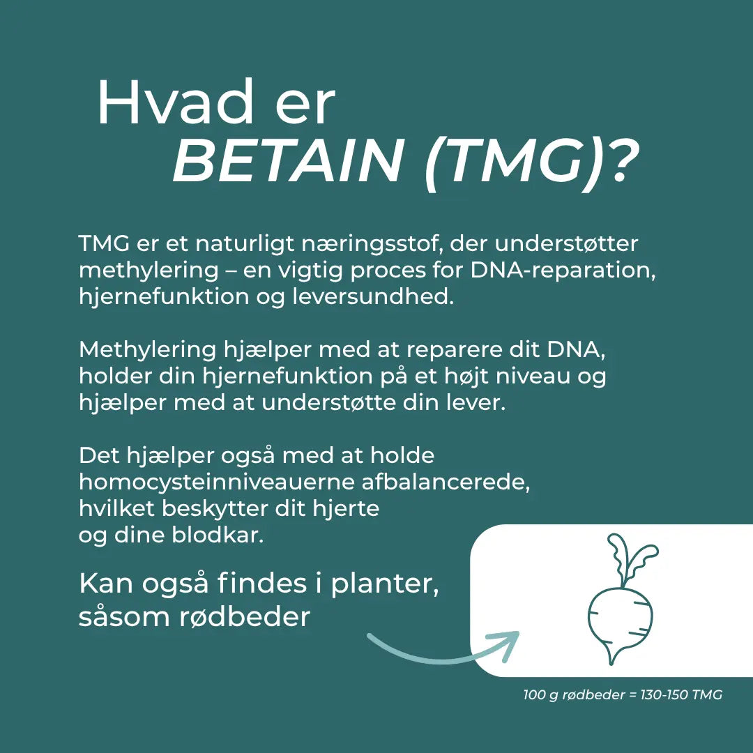 hvad er beatin