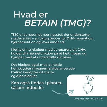hvad er beatin