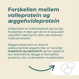 valleprotein og Æggehvidepulver