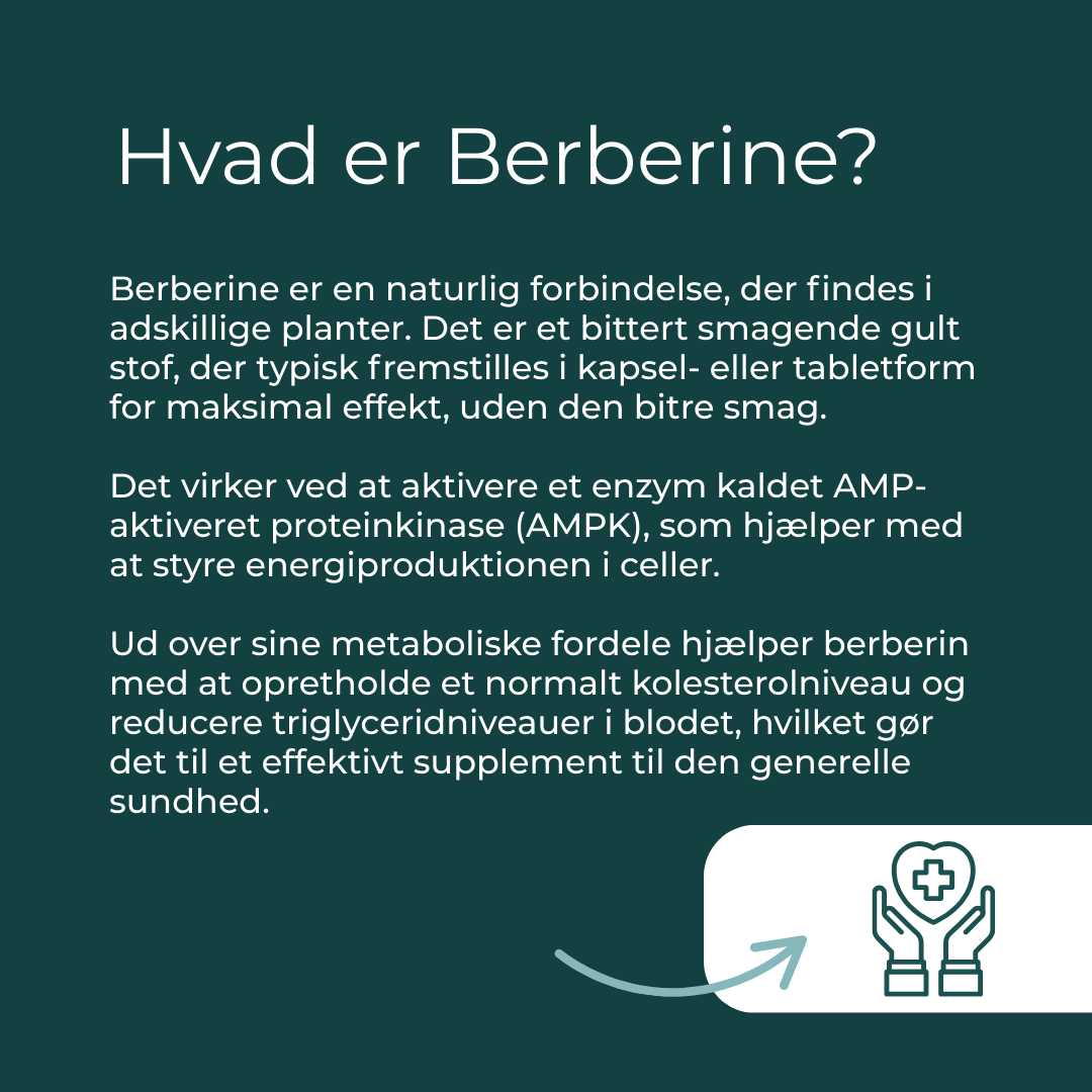 hvad er Berberine?