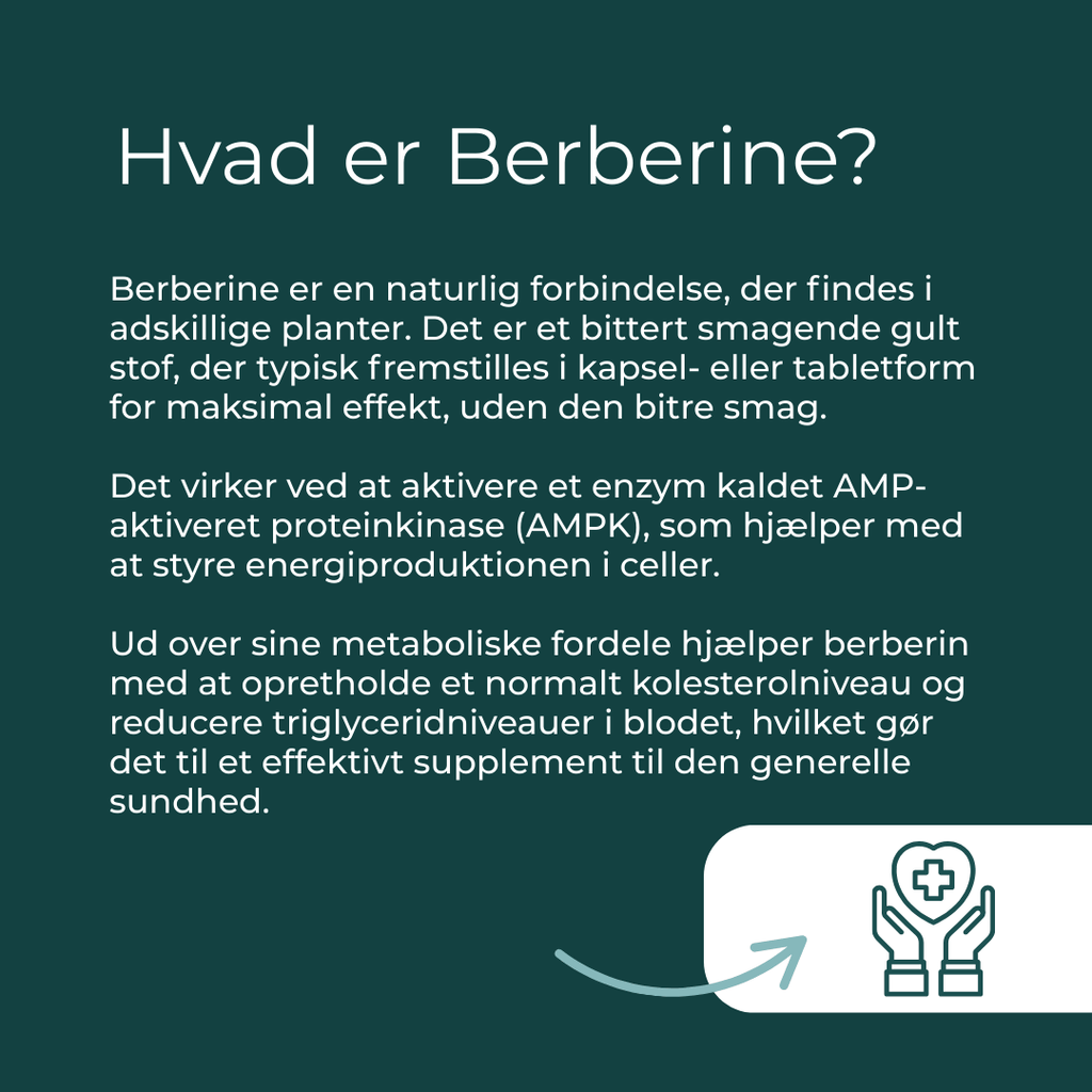 hvad er Berberine?