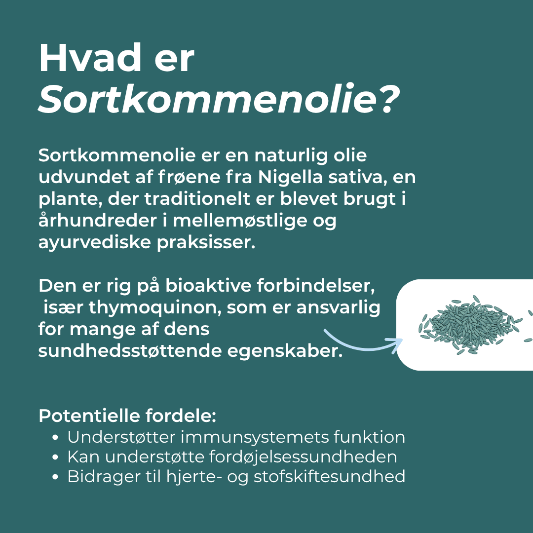 hvad er Sortkommenolie 