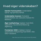 videnskabelige studier