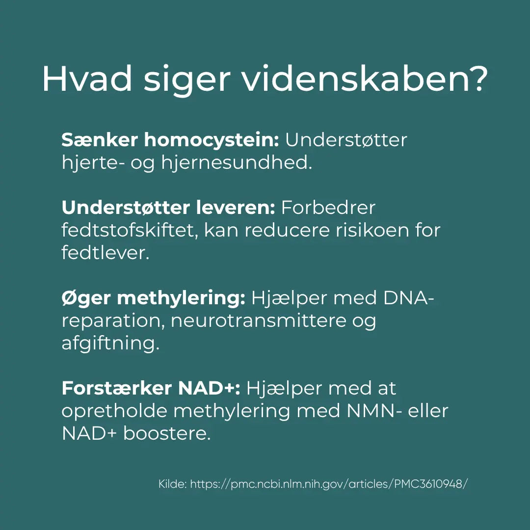 videnskabelige studier