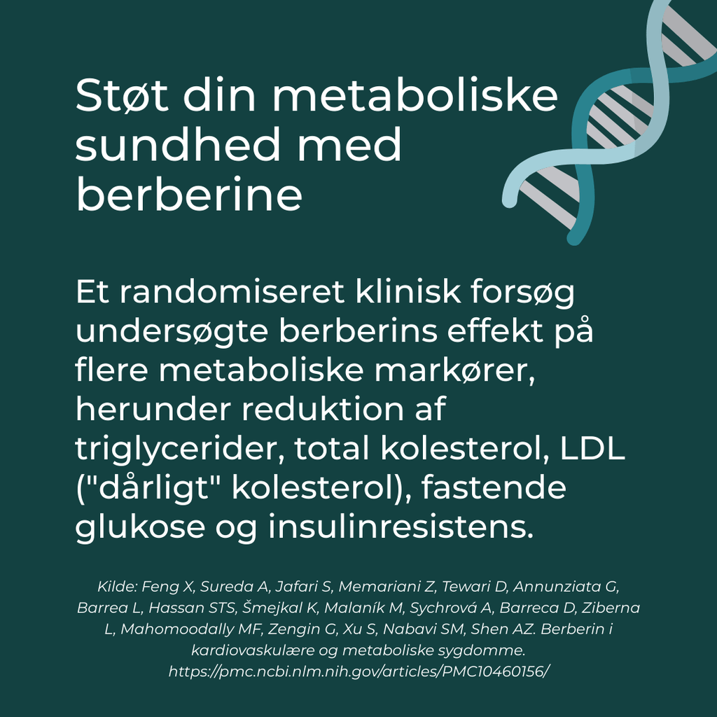 berberine og metaboliske sundhed
