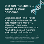berberine og metaboliske sundhed