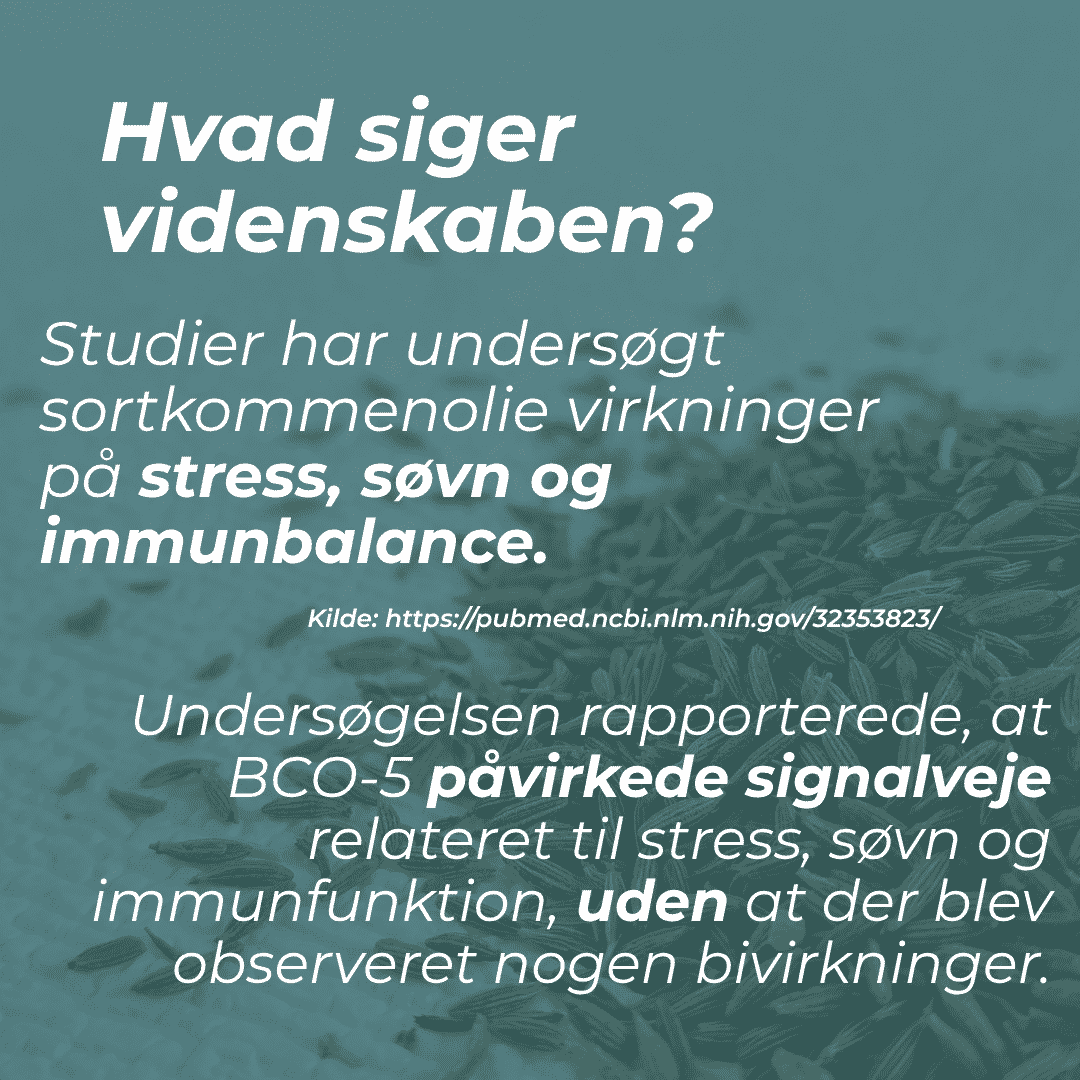 Sortkommenolie og stress