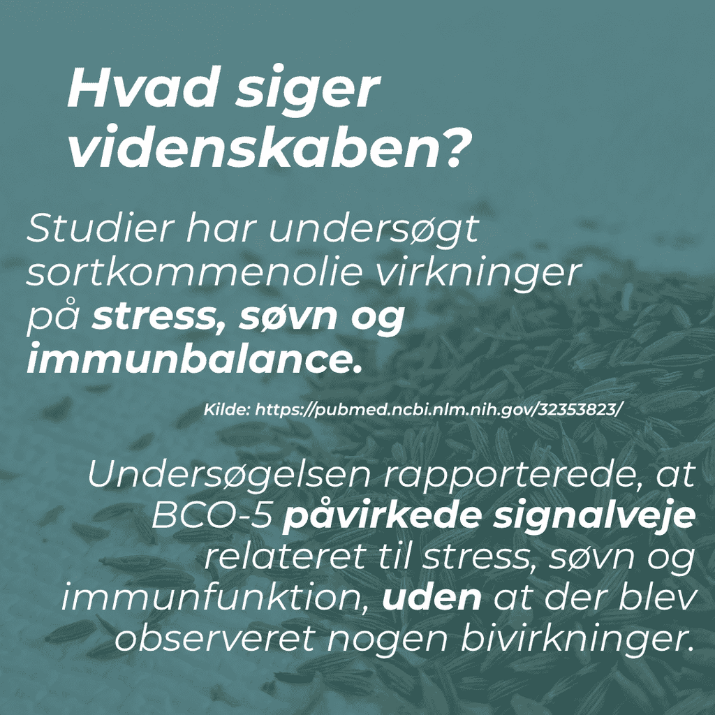 Sortkommenolie og stress