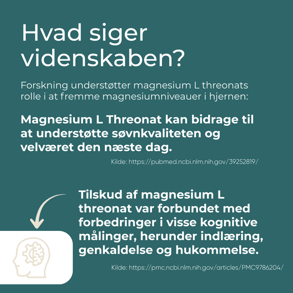 magnesium l threonate rolle i hjernen
