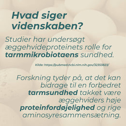 Æg protein og tarmsundhed