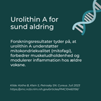 Urolithin A for sund aldring