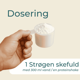 Æggehvidepulver dosering