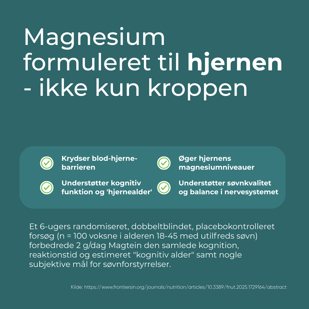 magnesium l threonate til hjernen