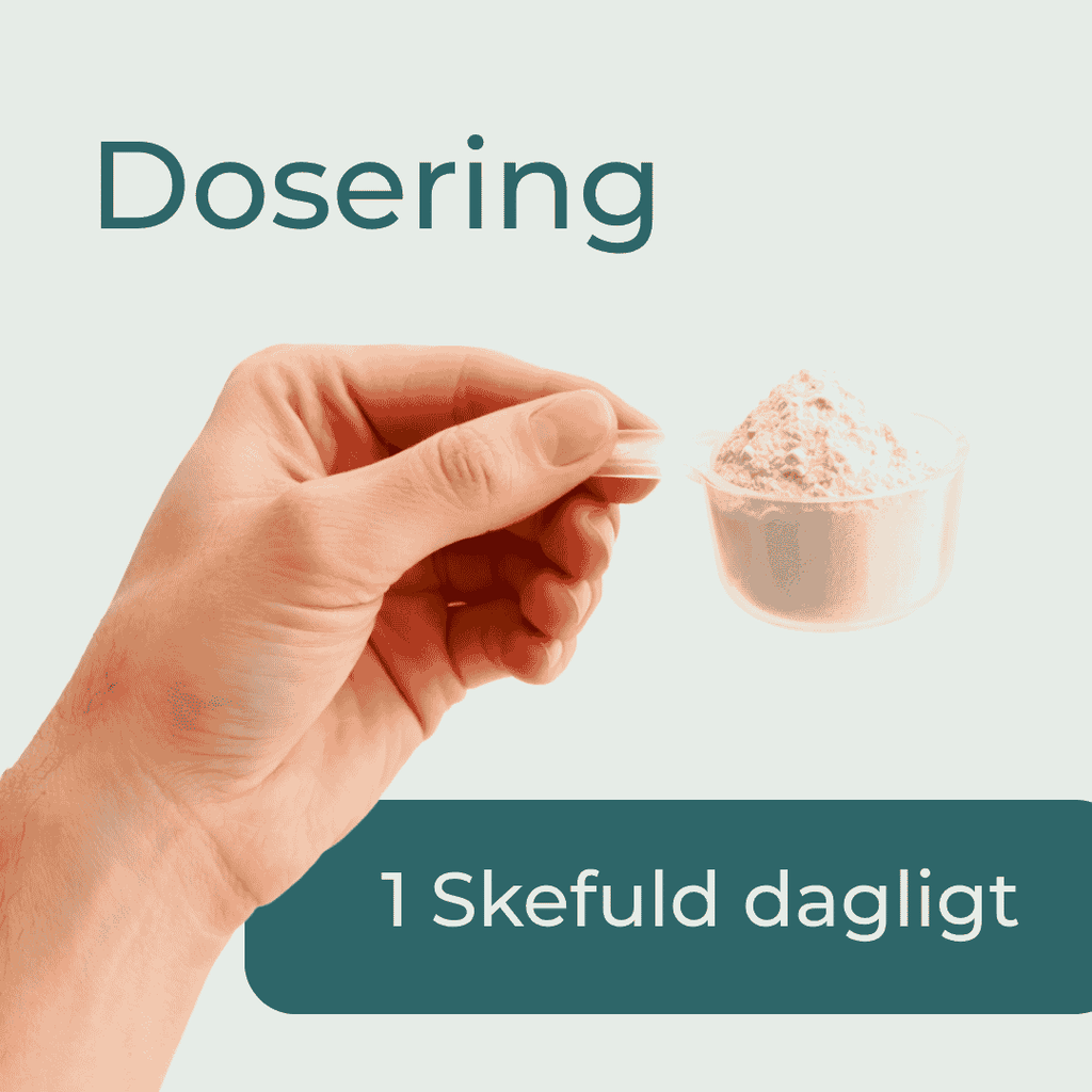 Dosering av Superfood Pulver