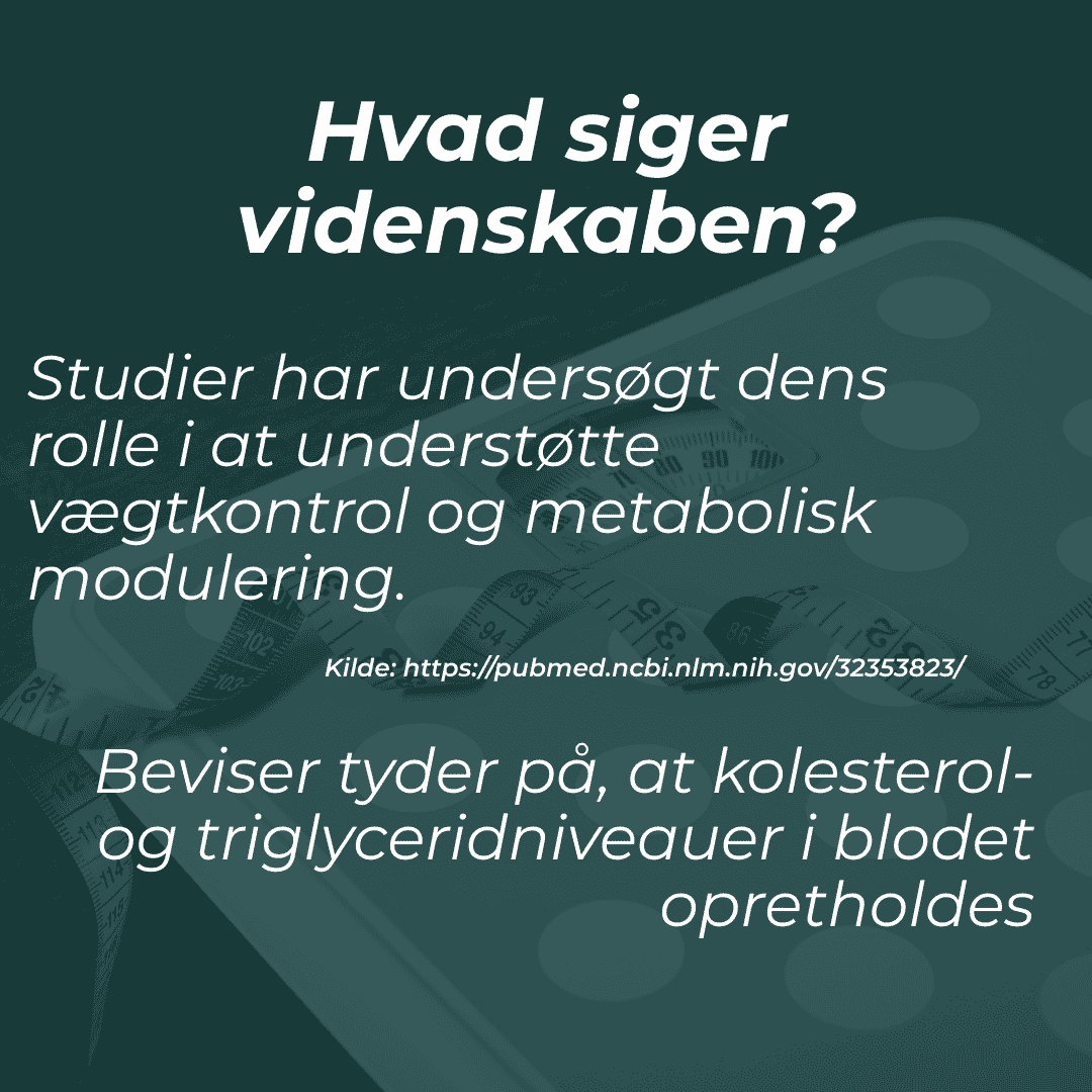 videnskaben om berberine