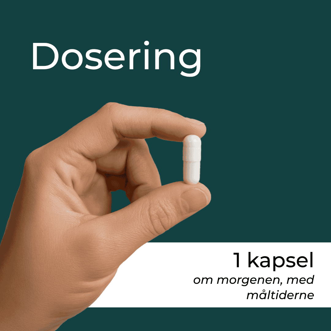 Dosering Urolithin A