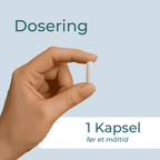 Sortkommenolie dosering