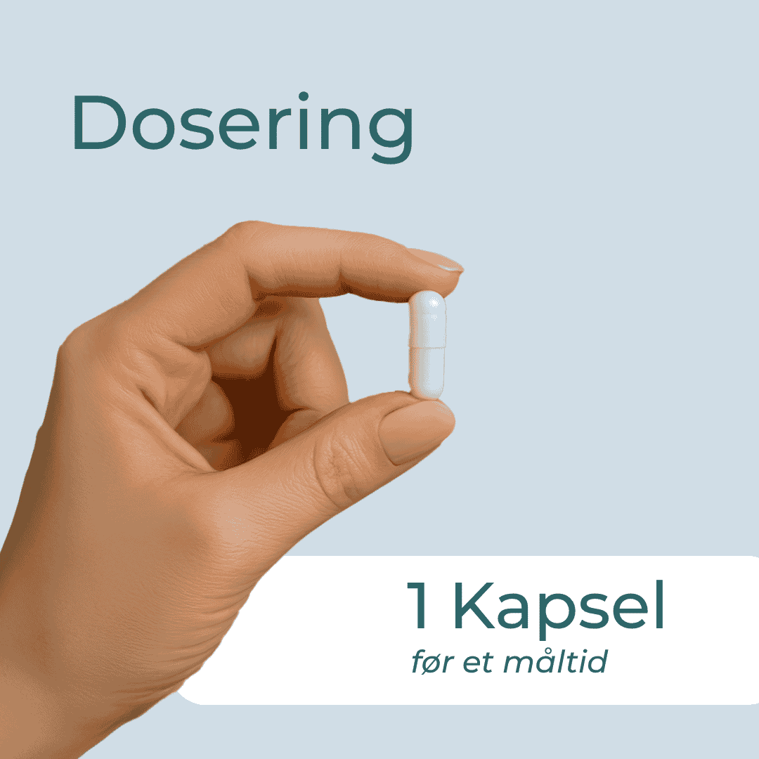 Sortkommenolie dosering