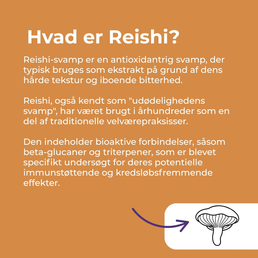 hvad er reishi
