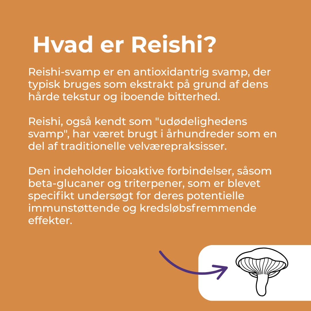 hvad er reishi