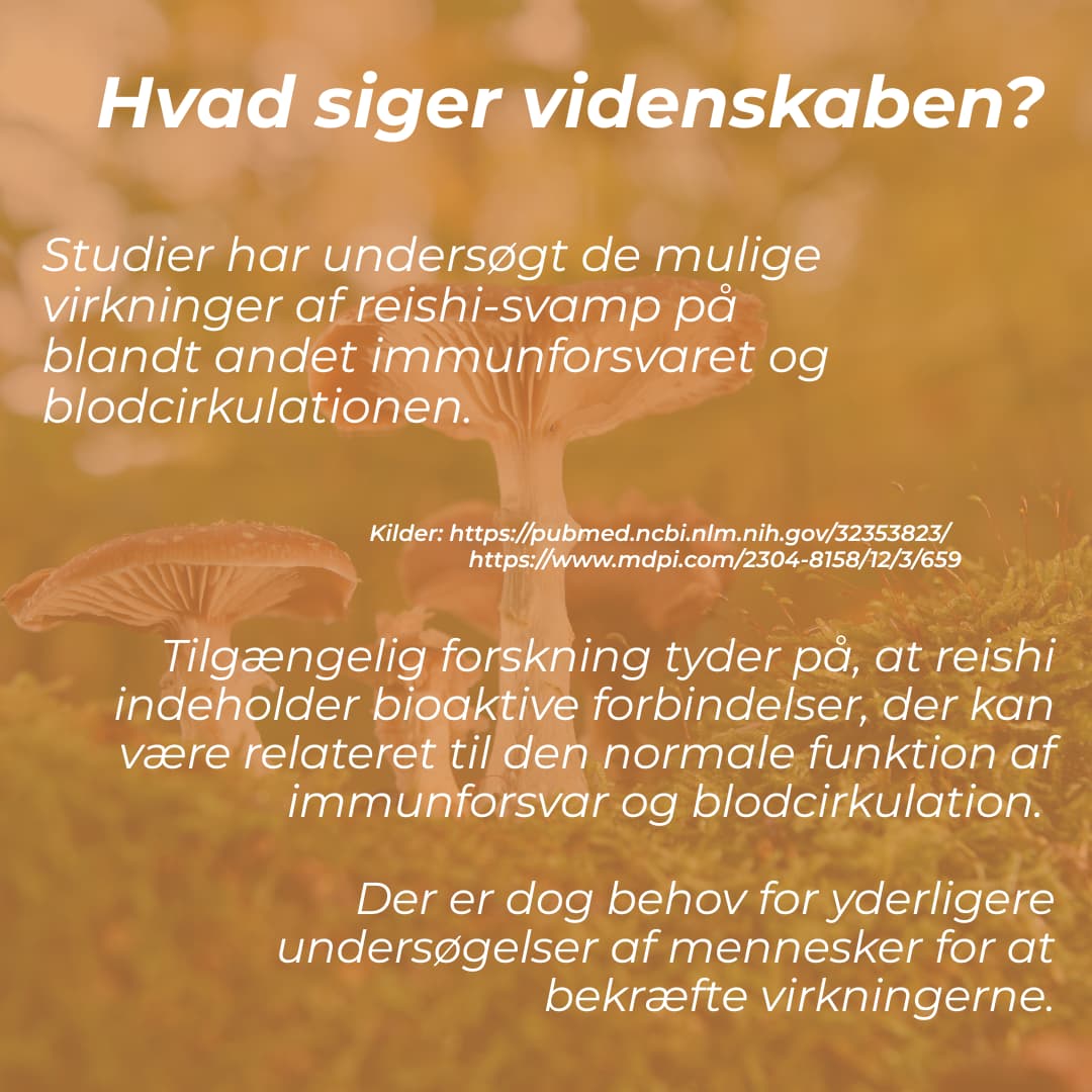 hvad siger videnskaben om reishi