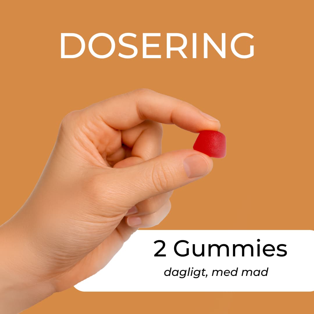 dosering reishi