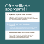 hvad er ingefær piller