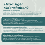 videnskaben om Magnesium Gummier