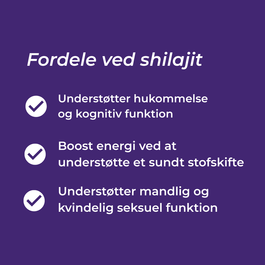 shilajit fordele