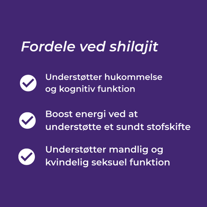 shilajit fordele