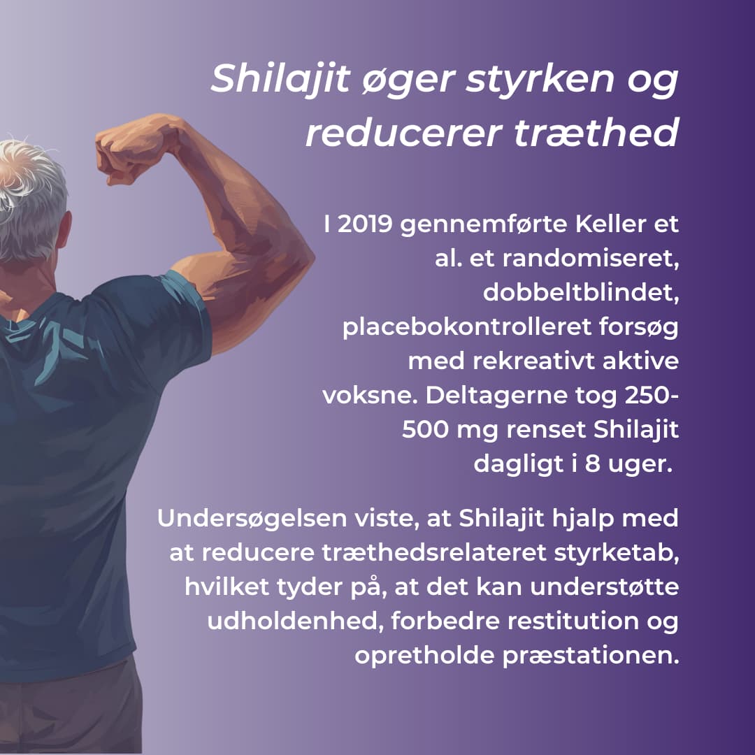 shilajit styrke 