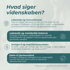 lakseolie for hunde, hvad siger videnskaben