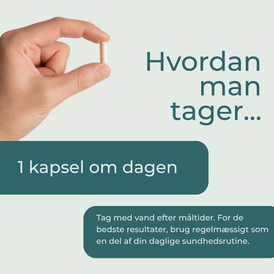 nmn hvordan man taget