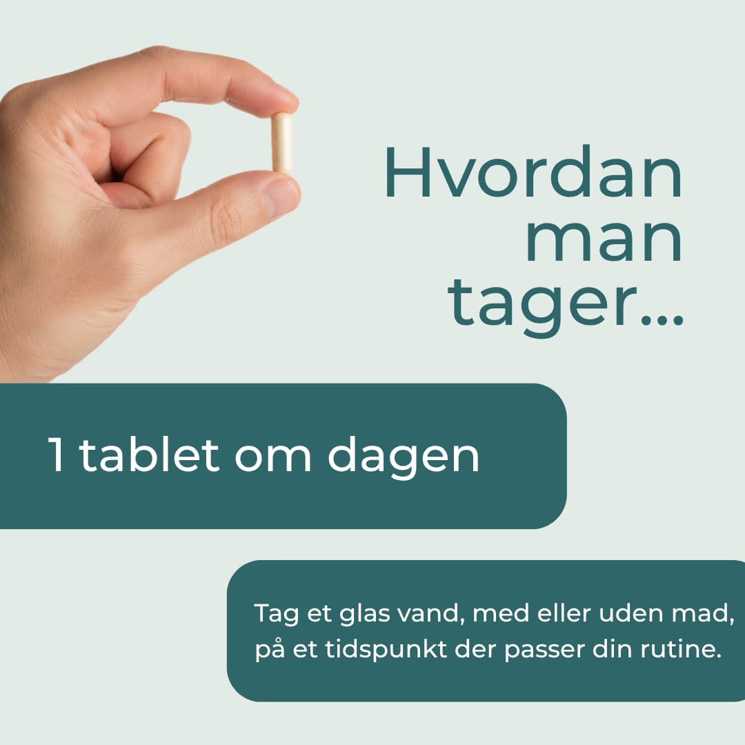 zink tilskud dosering