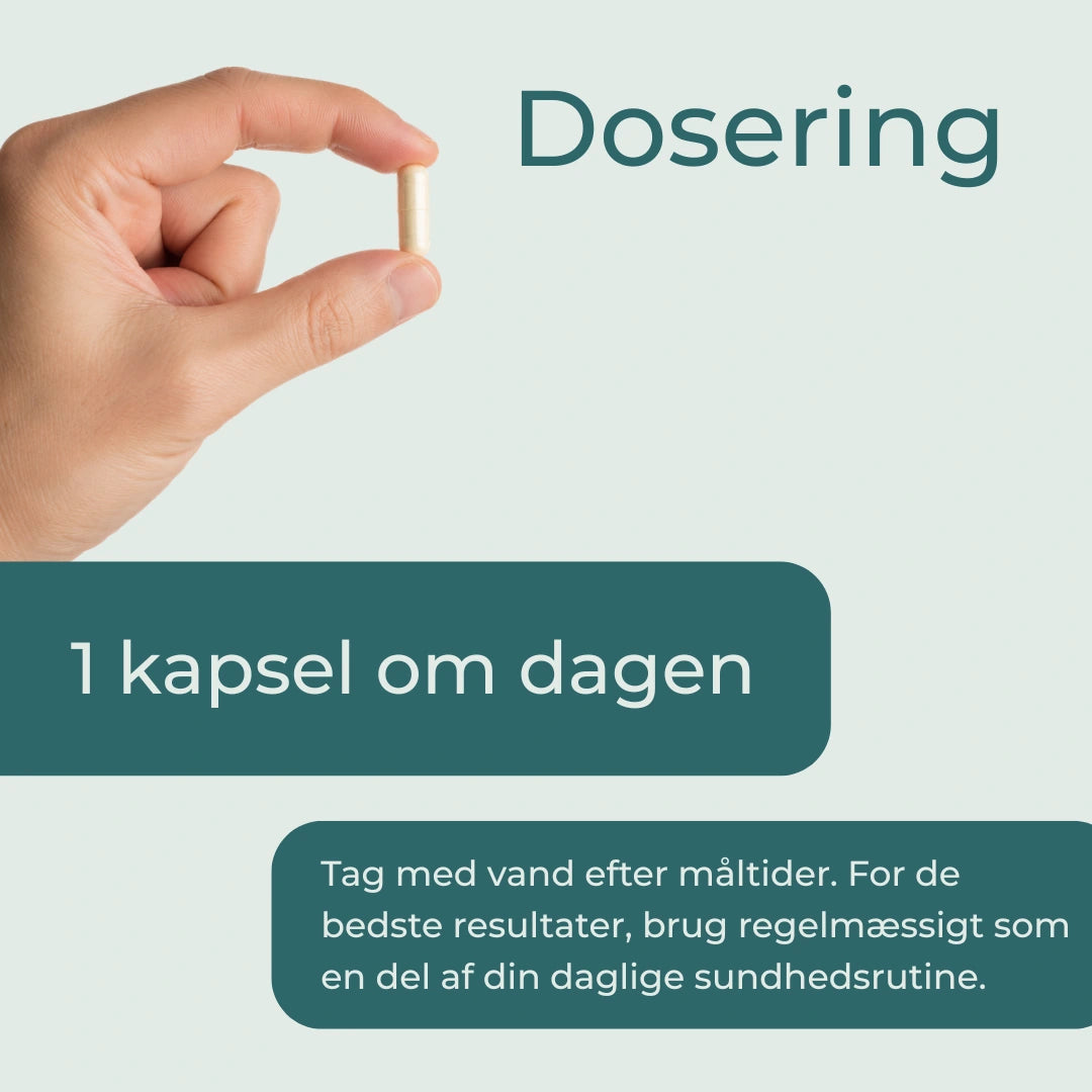 Ashwagandha kapsler dosering