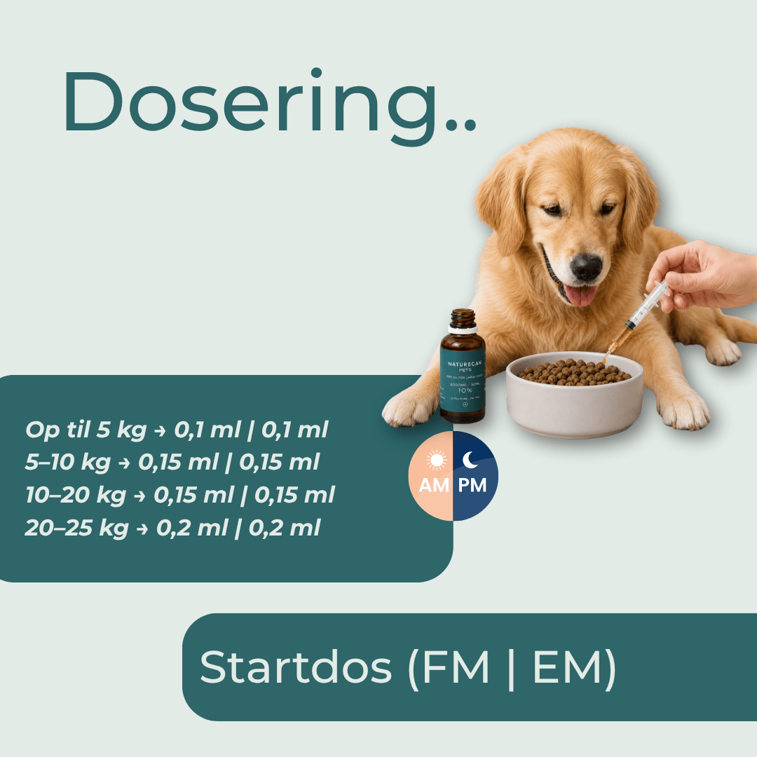dosering cbd olie till hunde